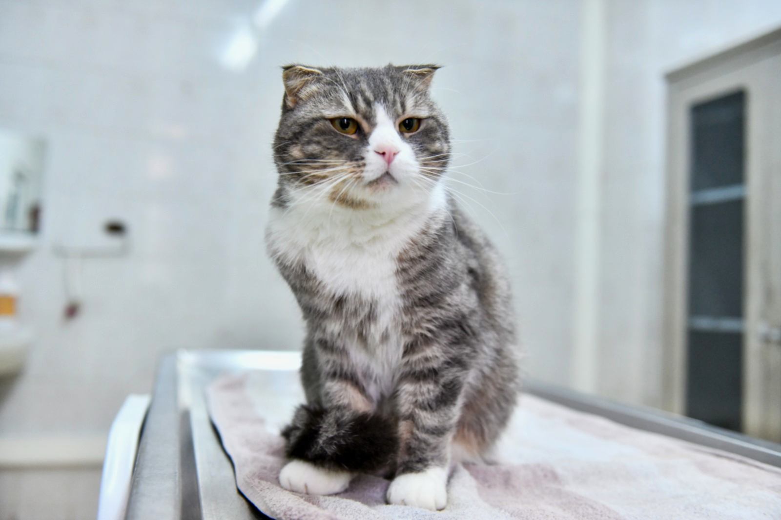 Yuva Bekleyen Can Dostumuz