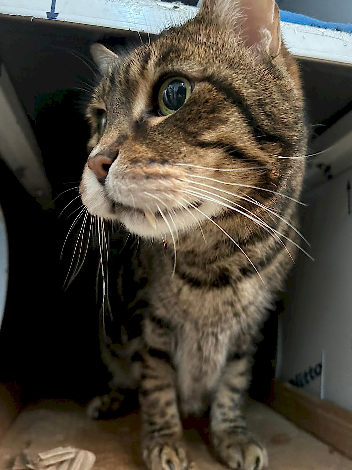 YUVA BEKLEYEN CAN DOSTUMUZ