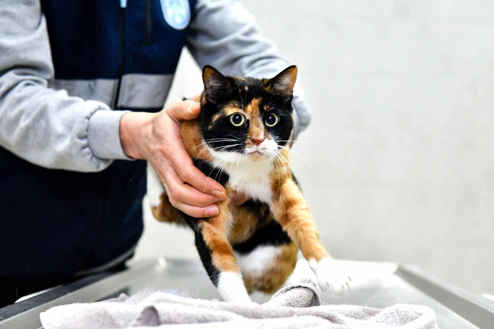 YUVA BEKLEYEN CAN DOSTUMUZ